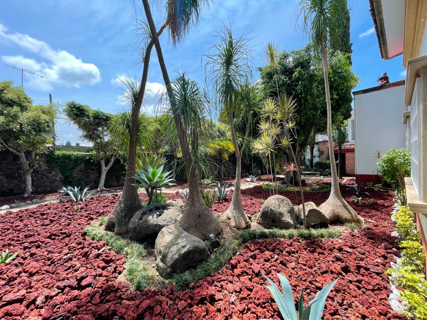image-16
