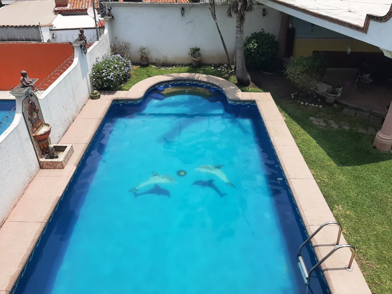 image-26