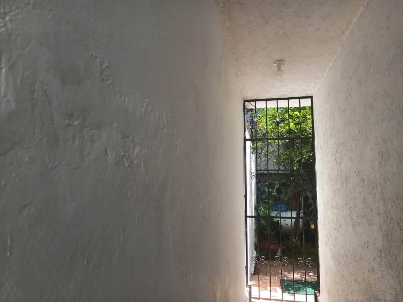 image-18