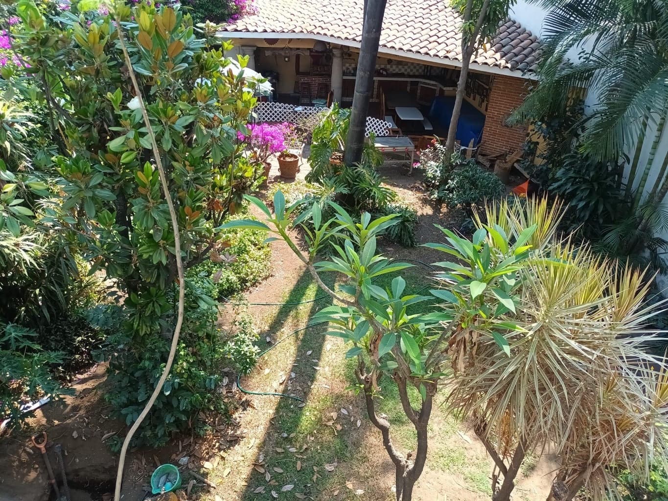 image-19
