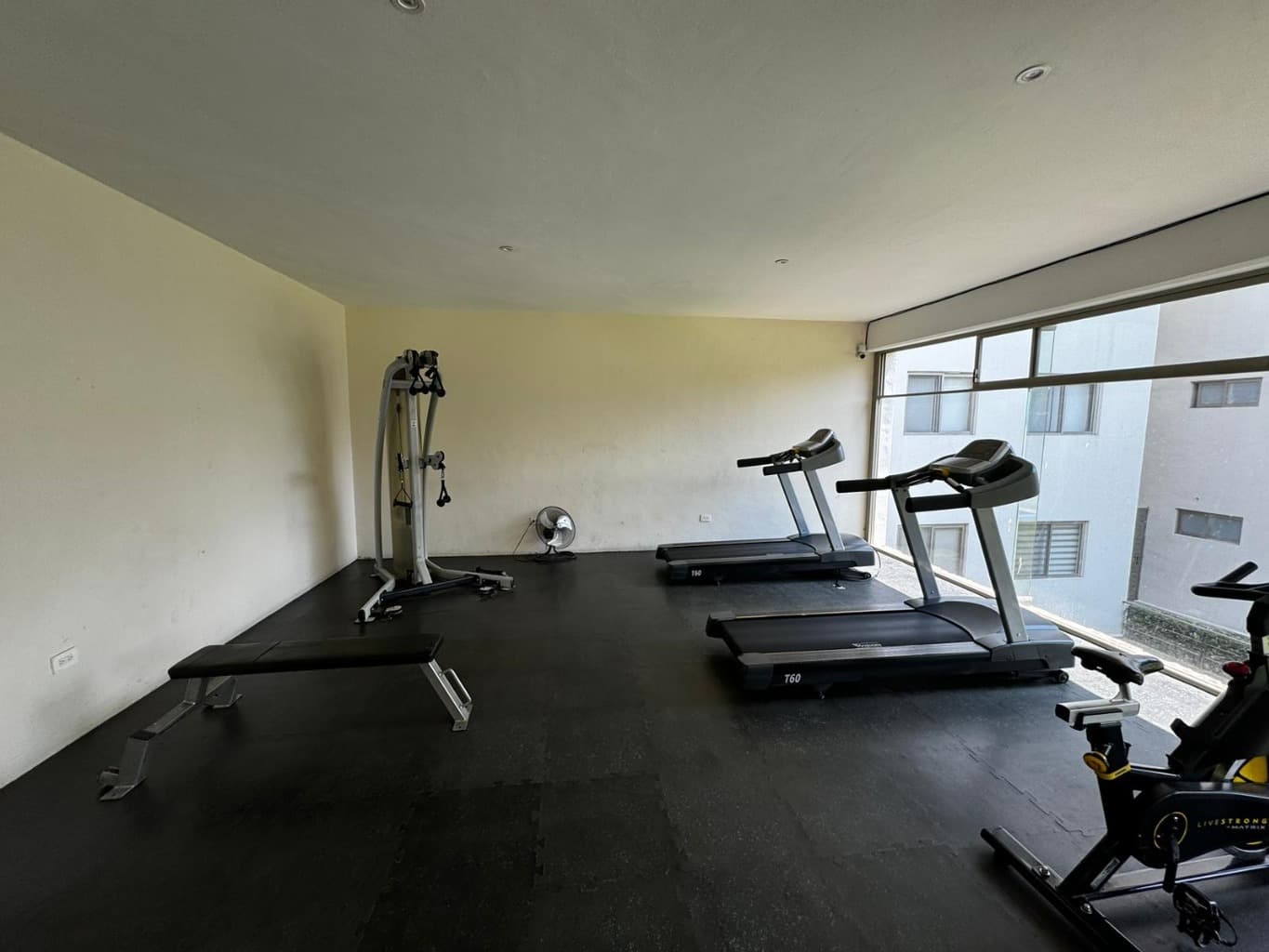 image-19