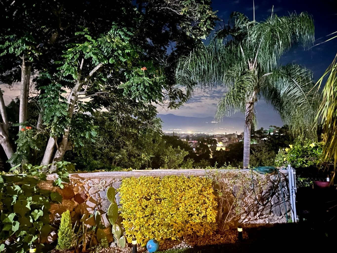 image-8
