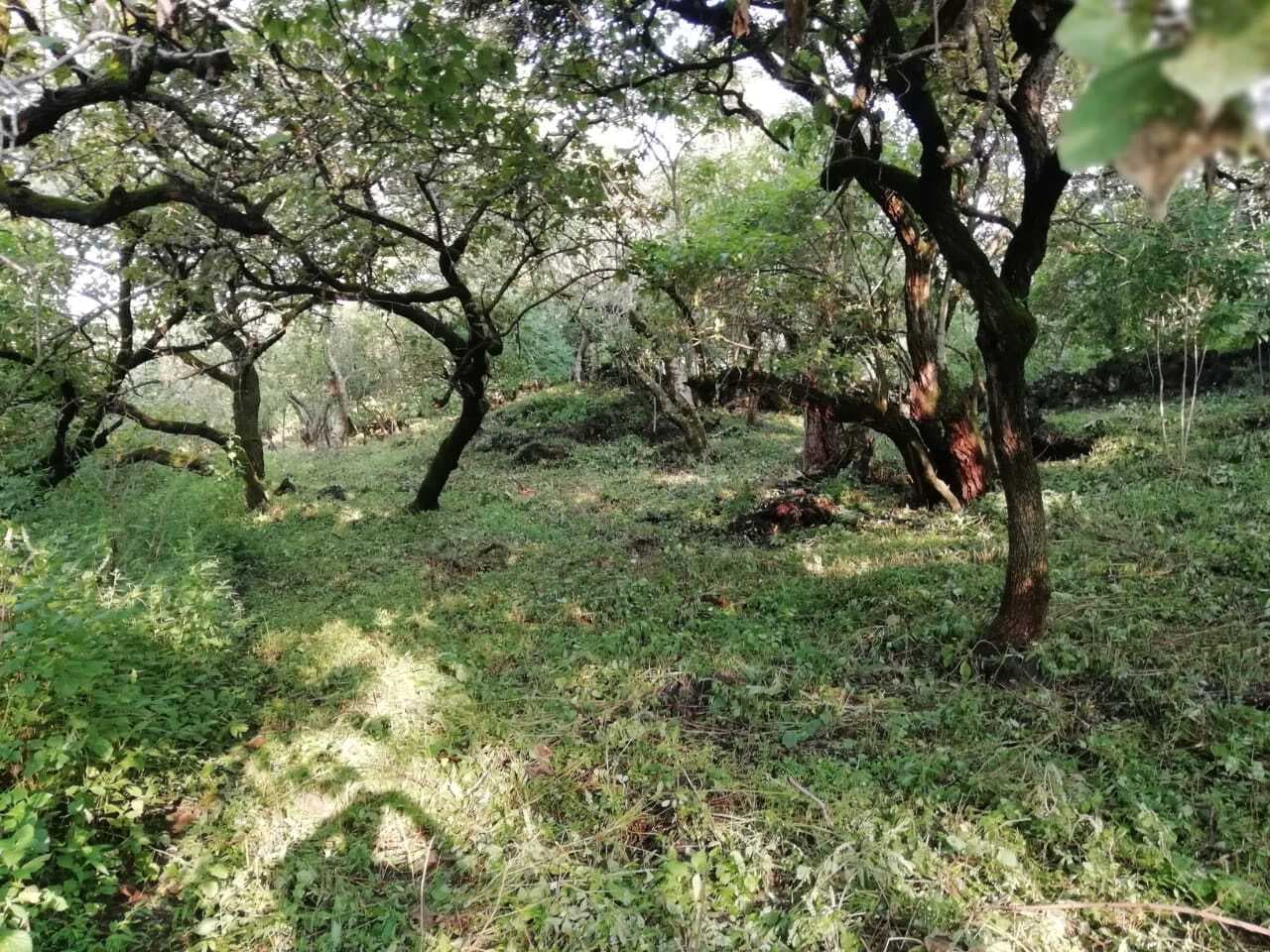 image-6