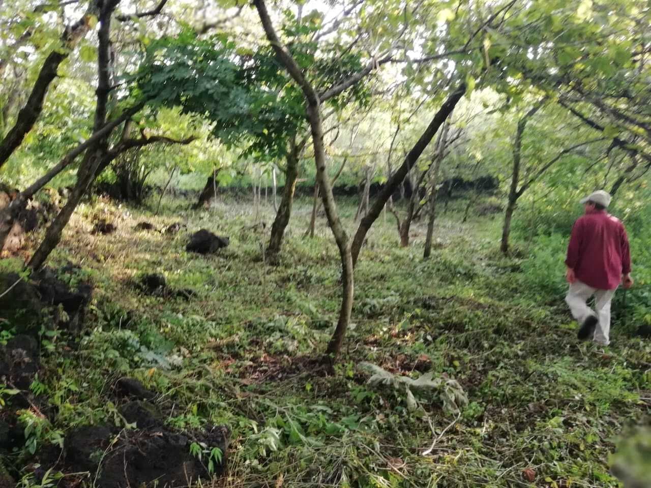 image-8