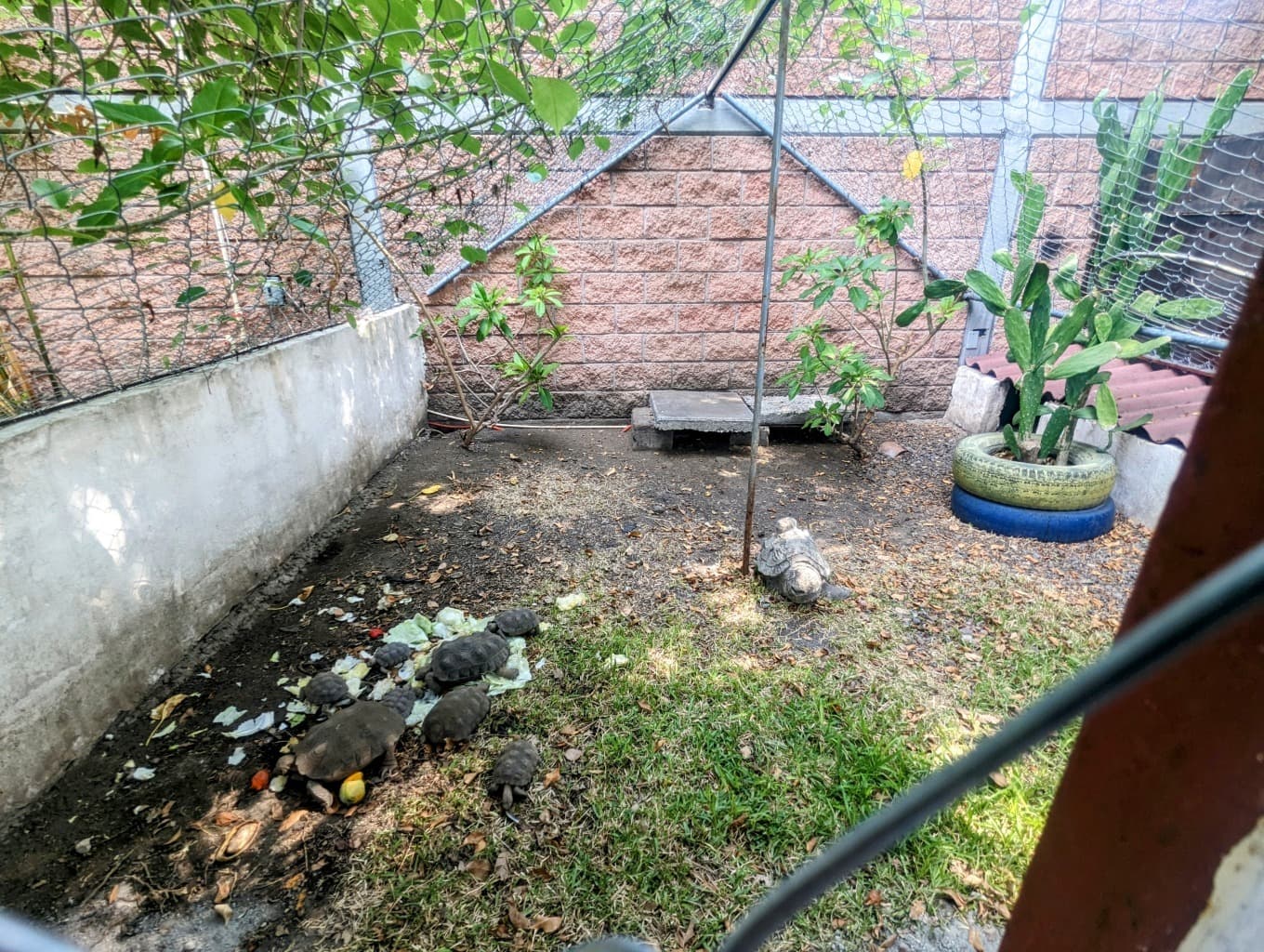 image-27