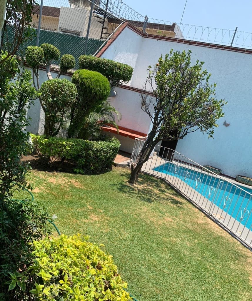 image-19