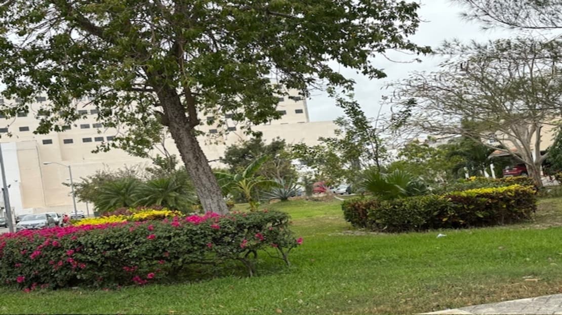 image-14