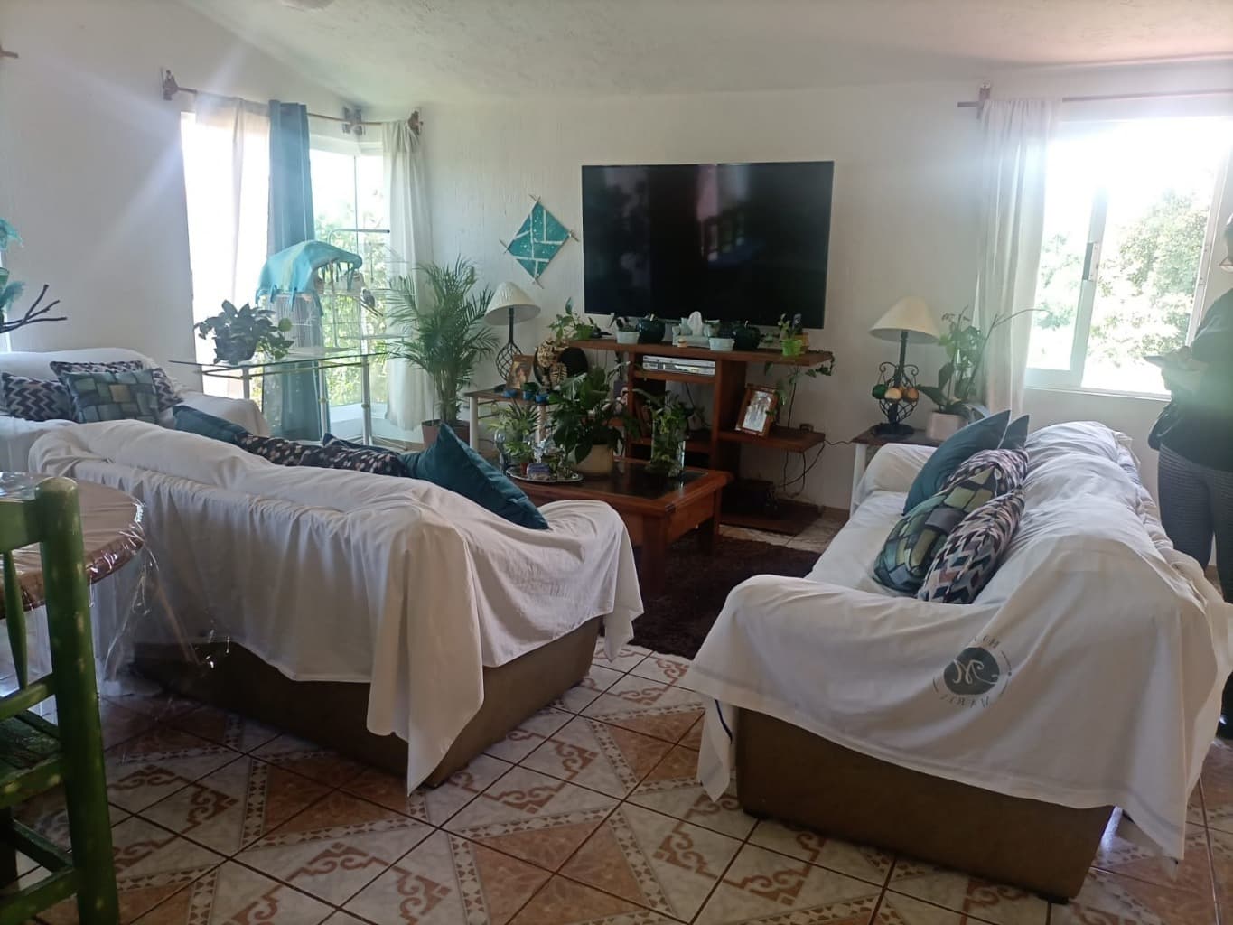 image-19