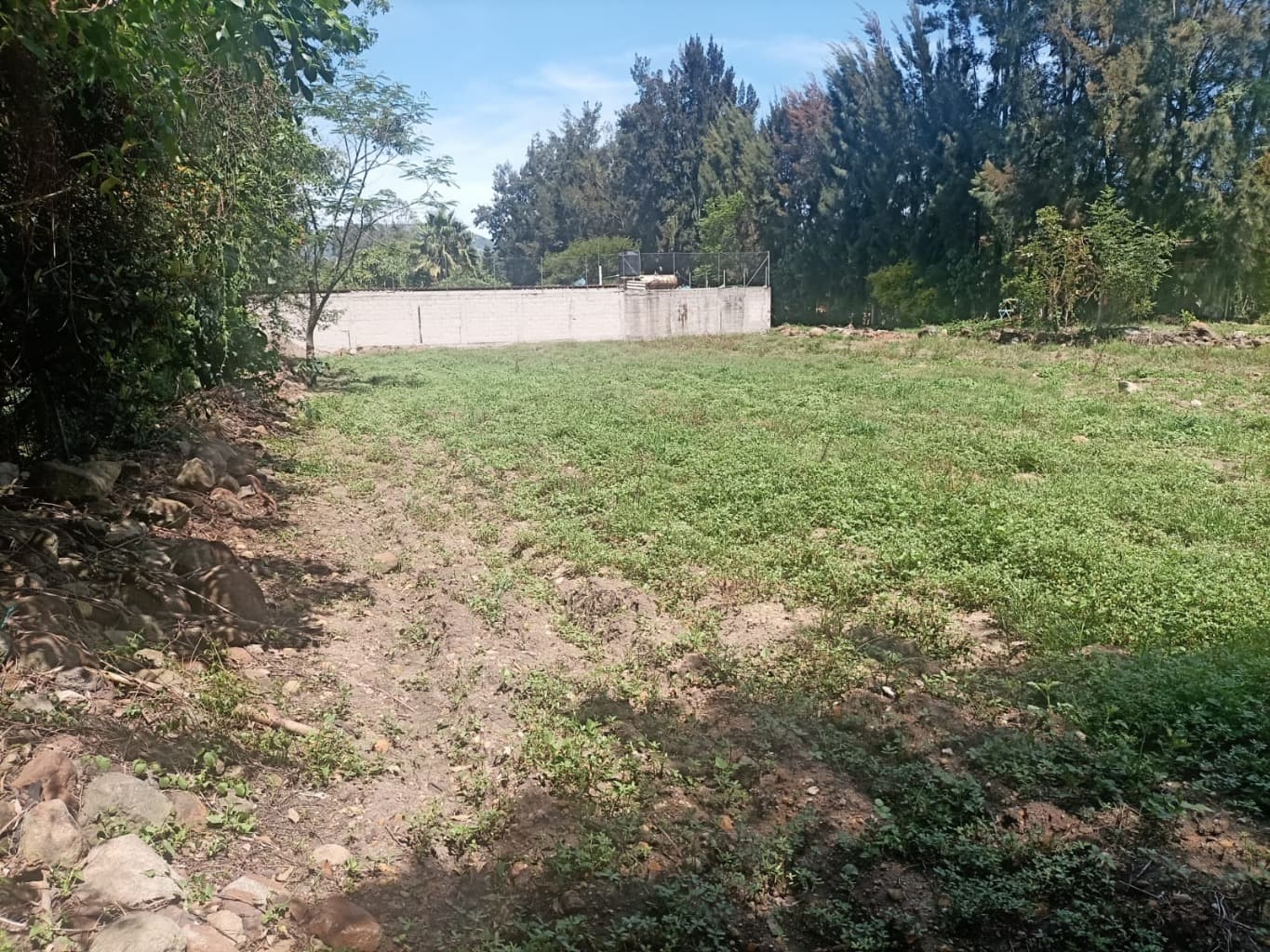image-2