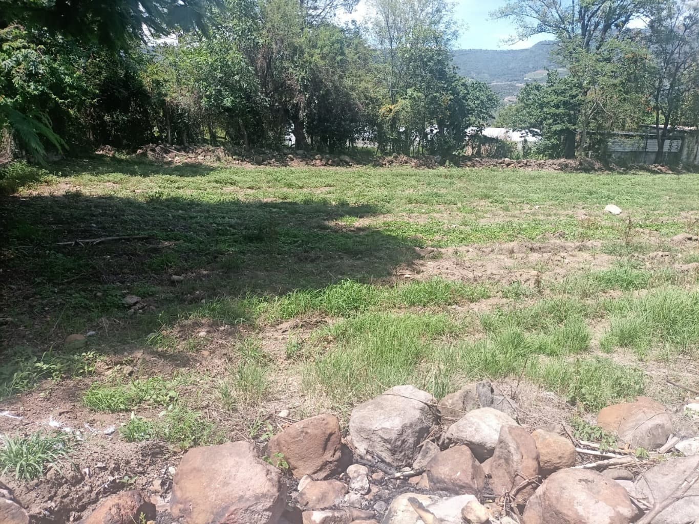 image-7