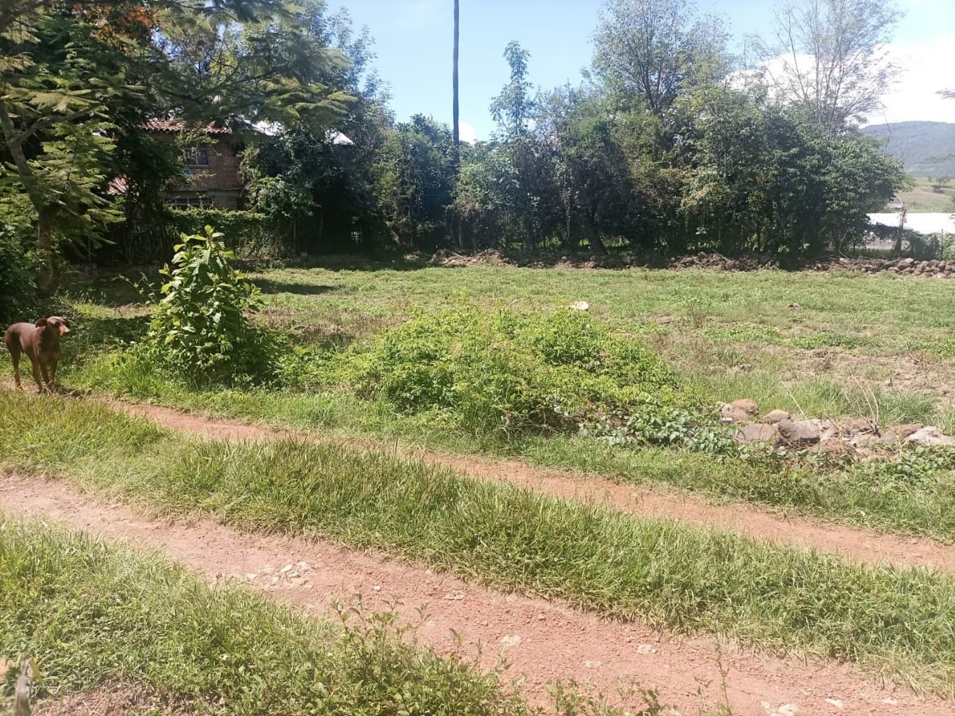image-10