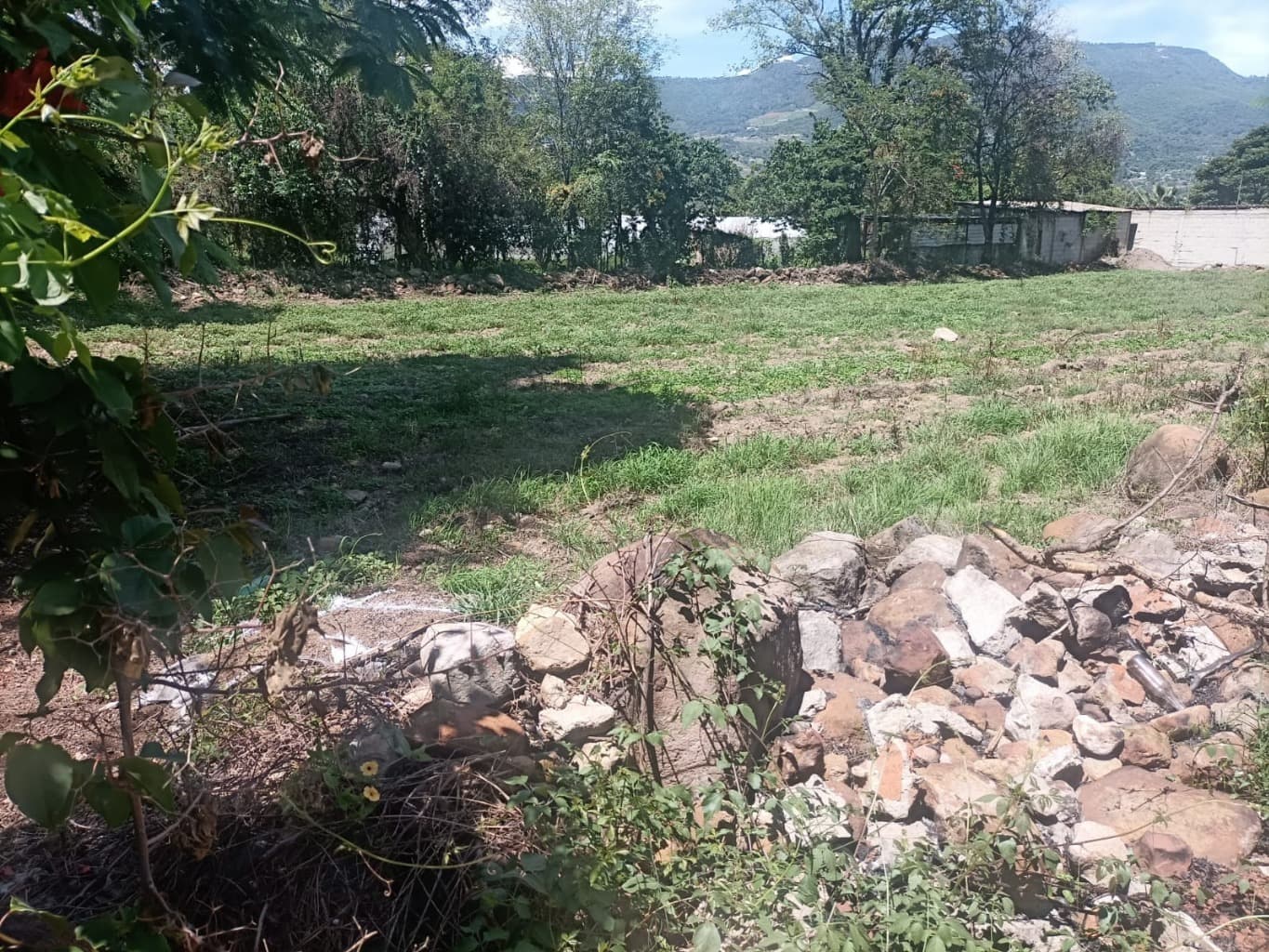 image-16