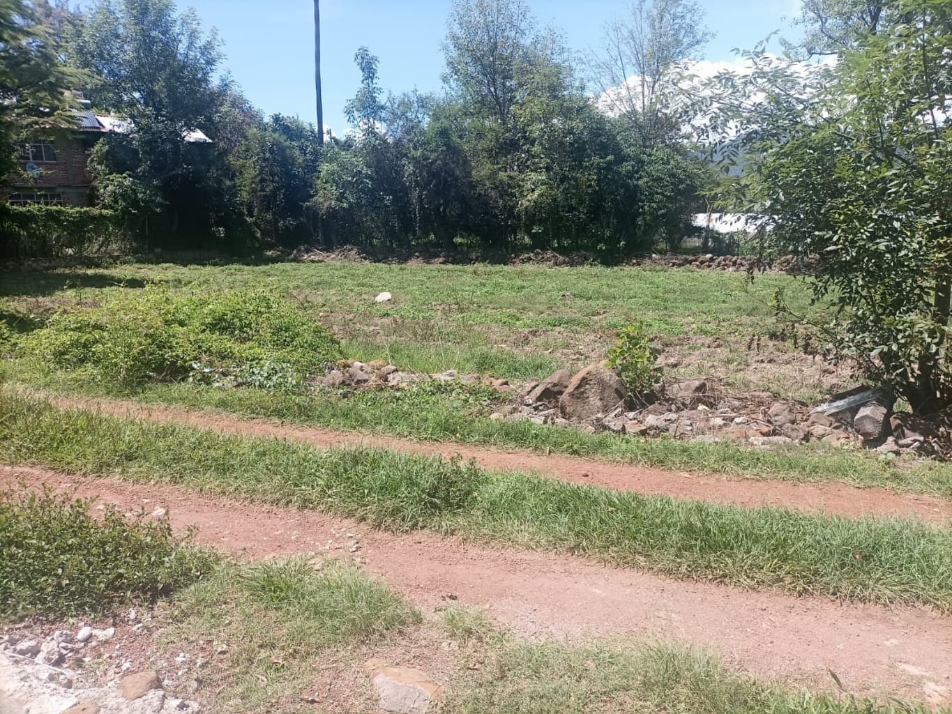 image-19