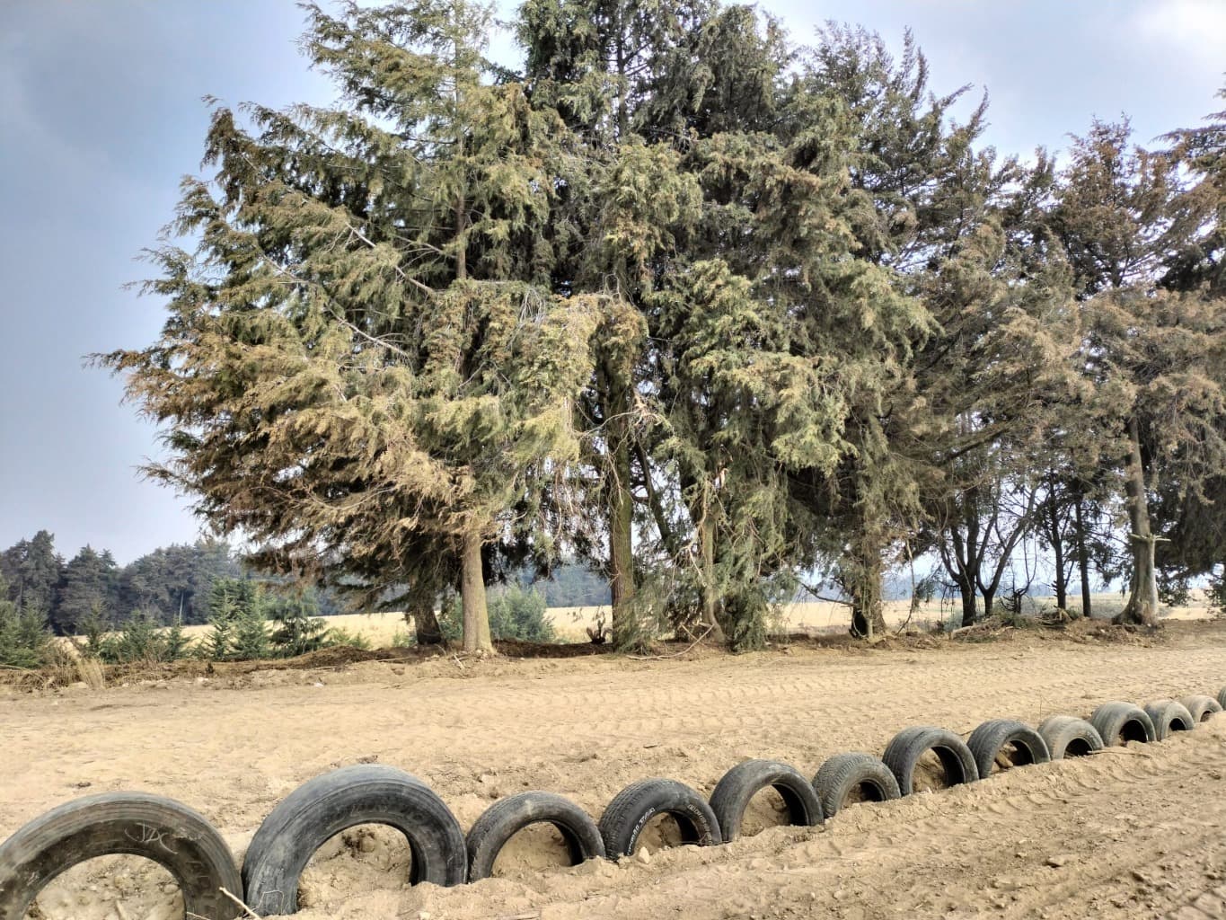 image-18