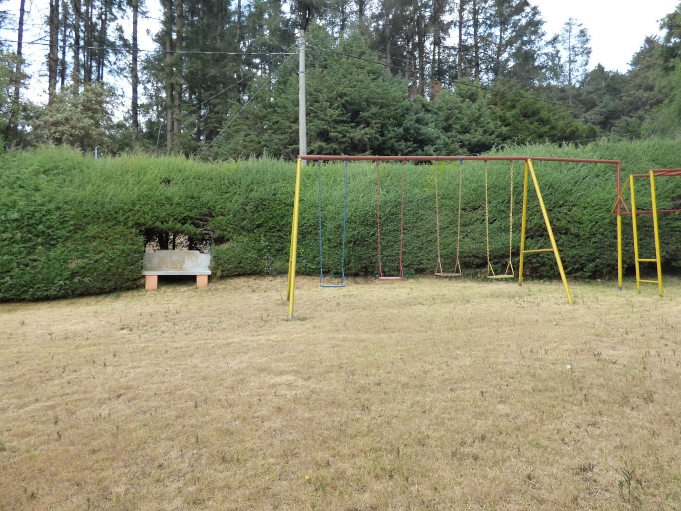 image-45