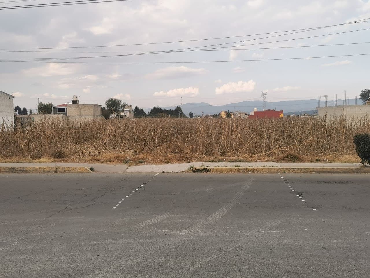 image-0