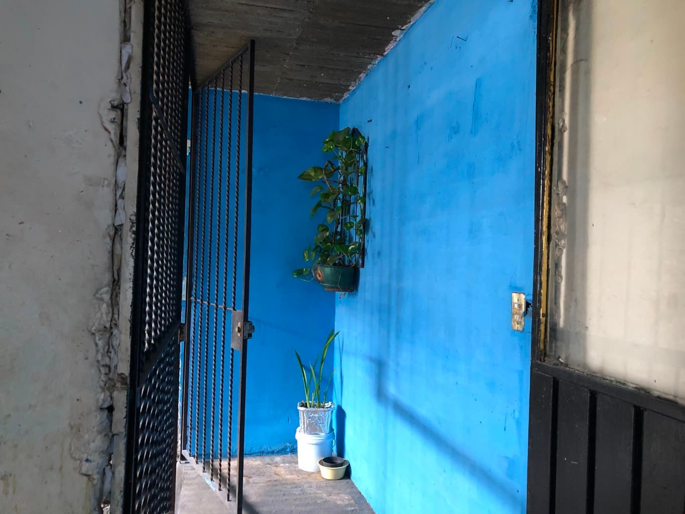 image-6