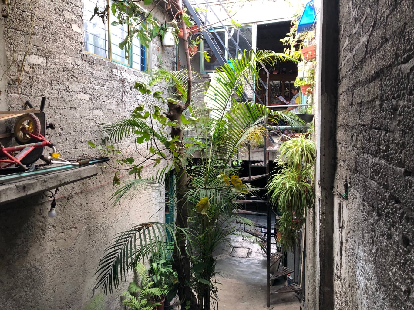 image-8