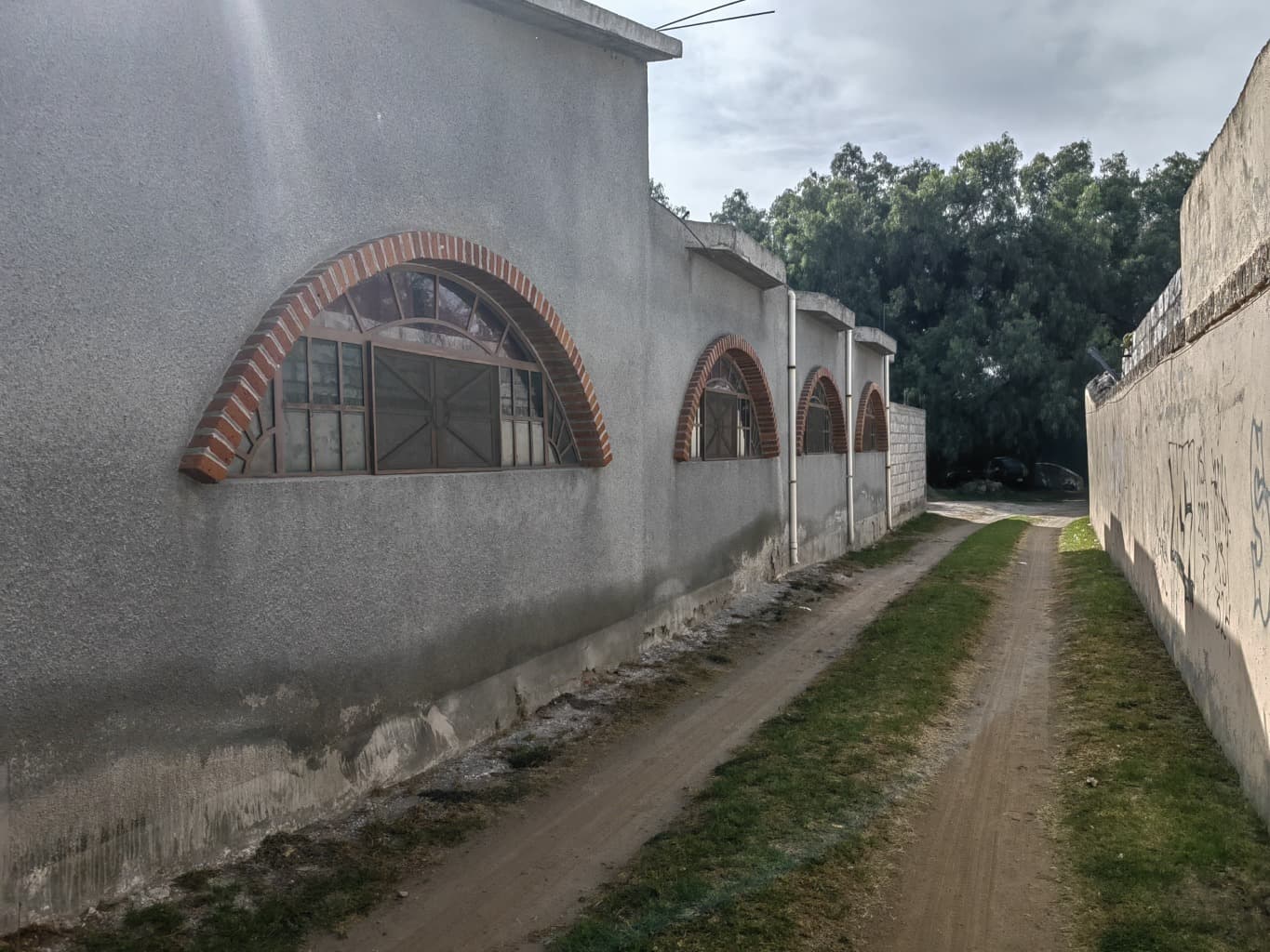 image-7