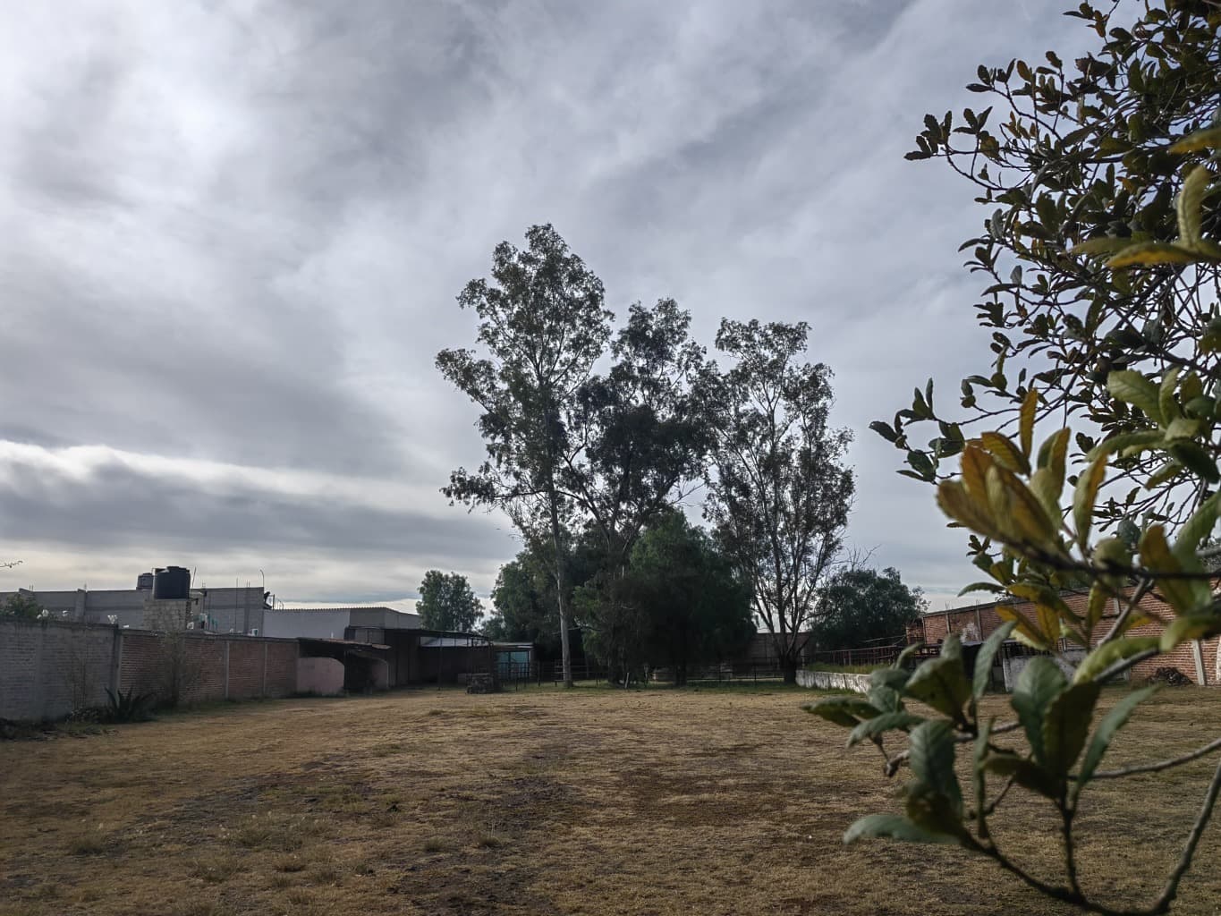 image-15