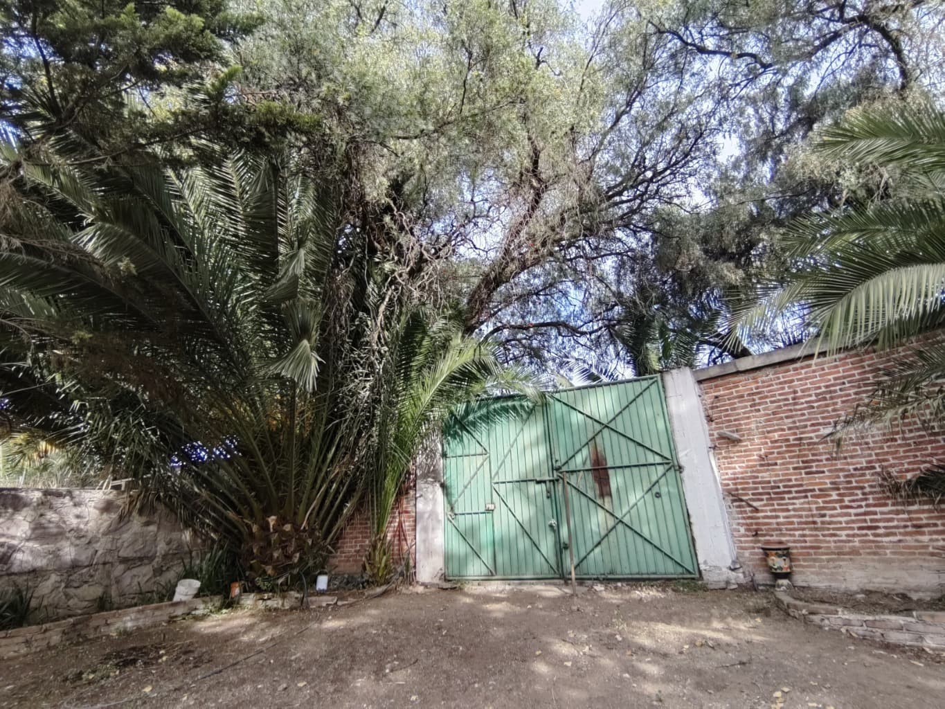 image-11