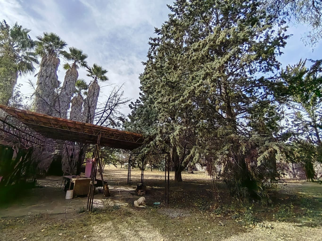 image-14