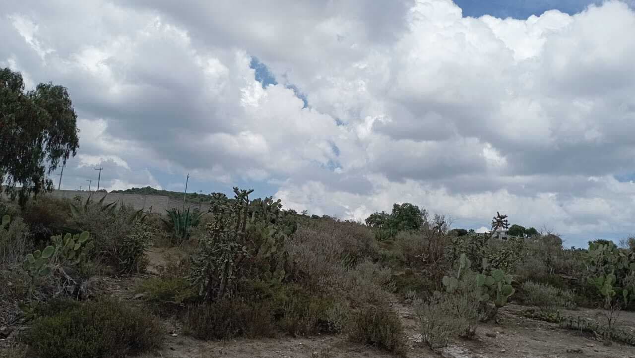 image-0