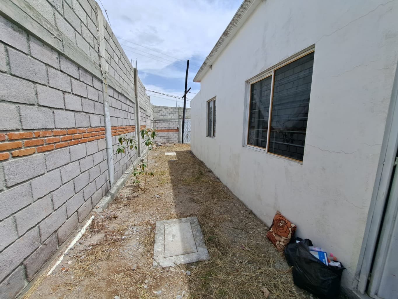 image-19