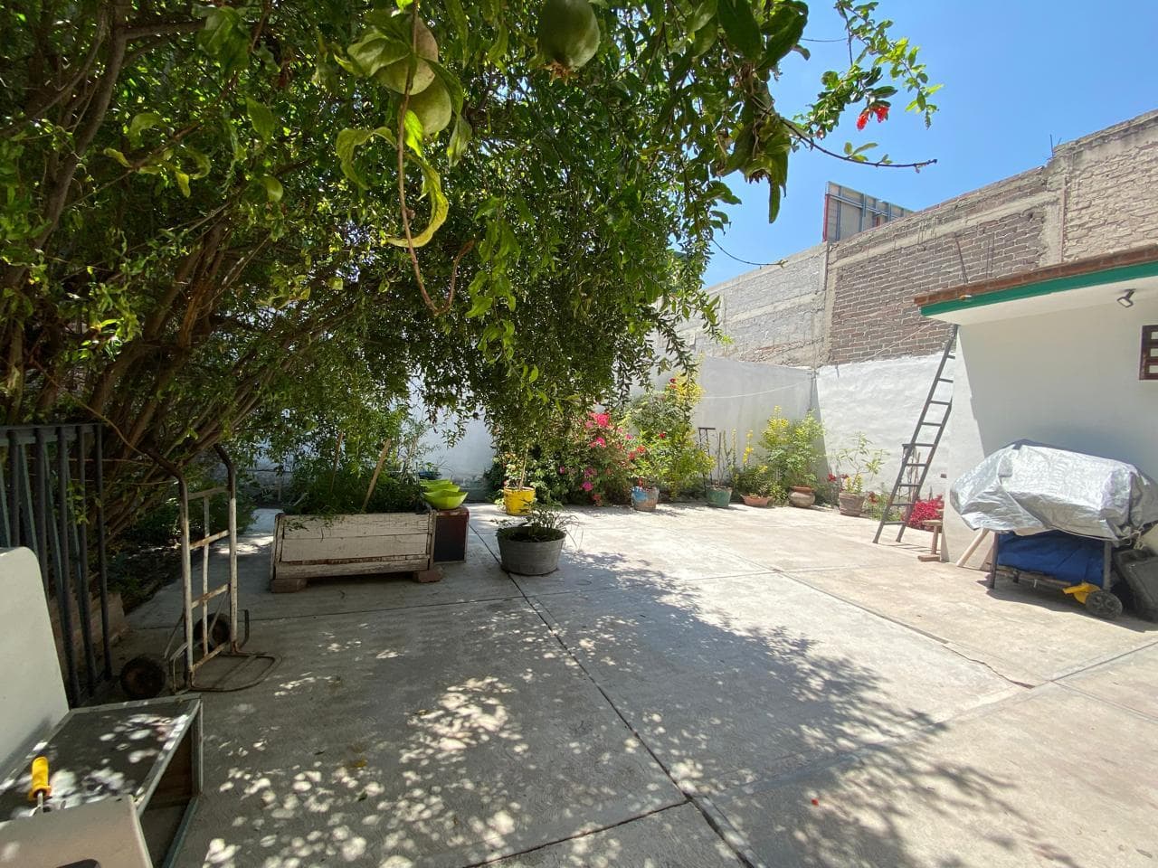 image-41
