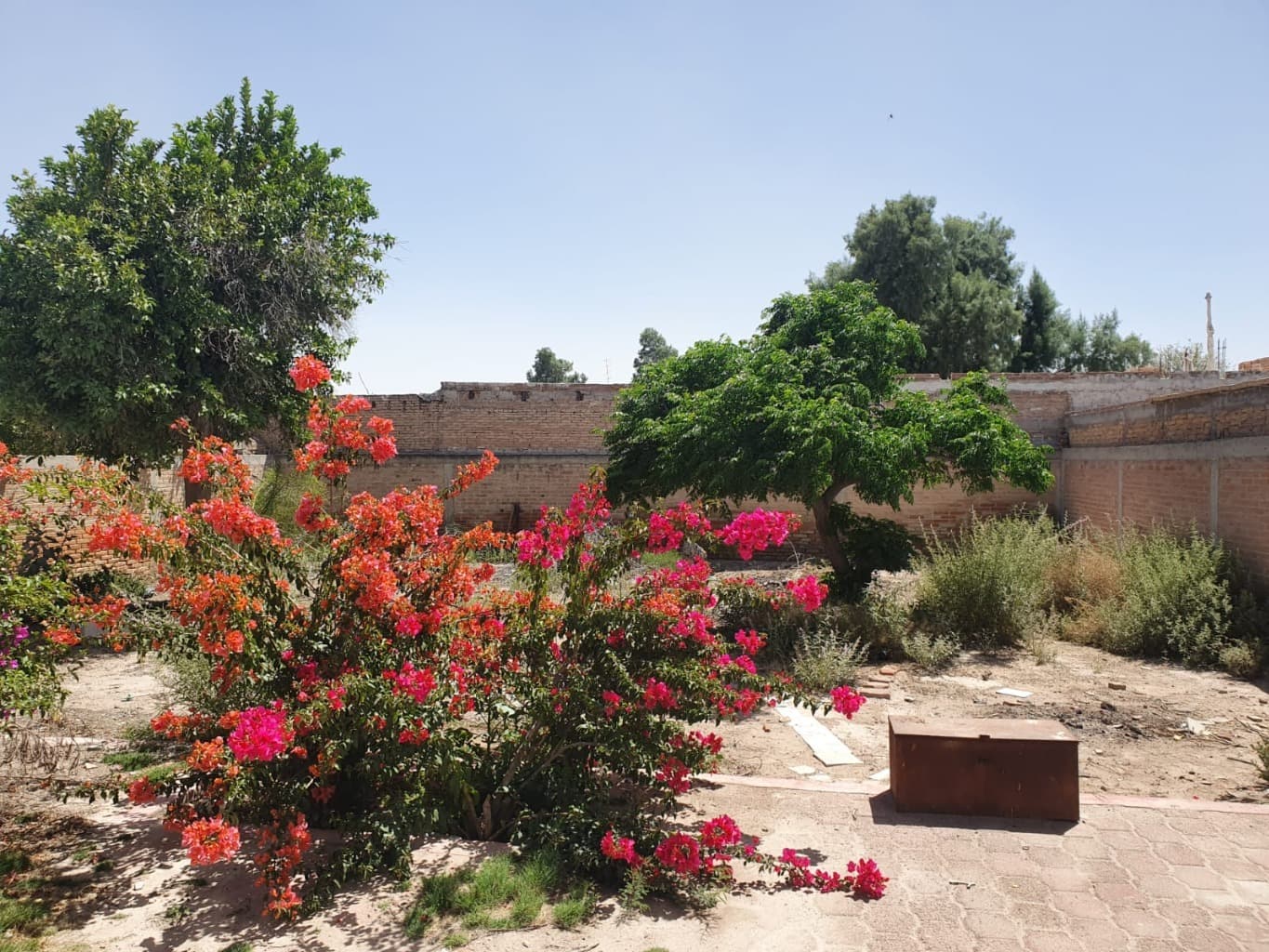 image-3