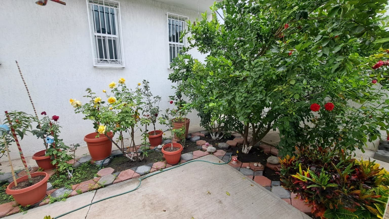 image-17