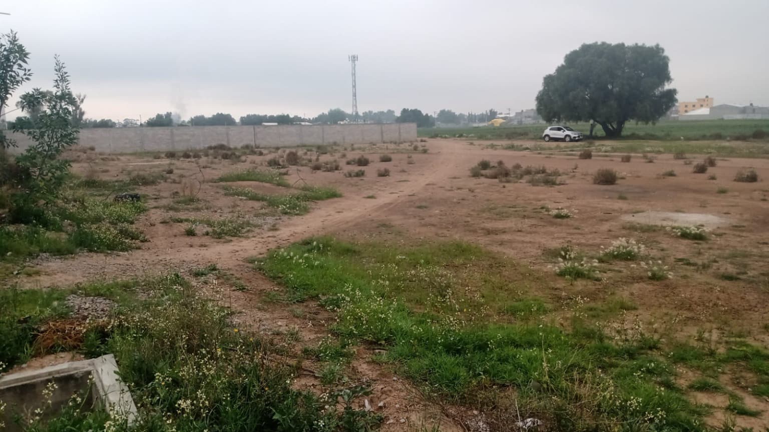 image-9