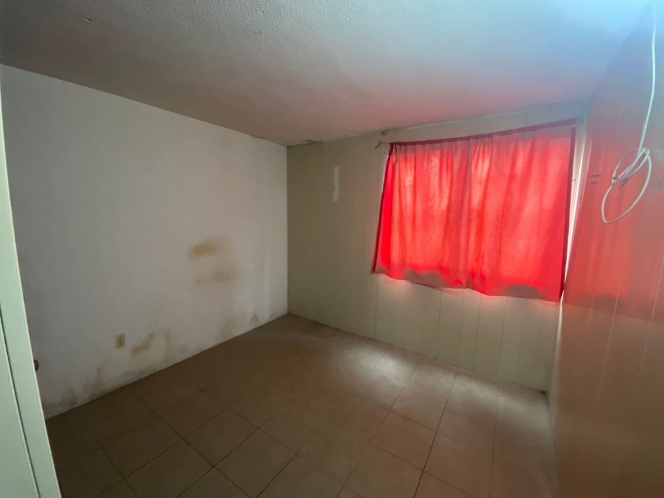 image-19