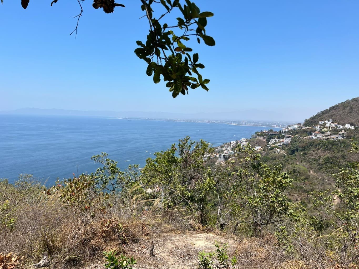 image-2