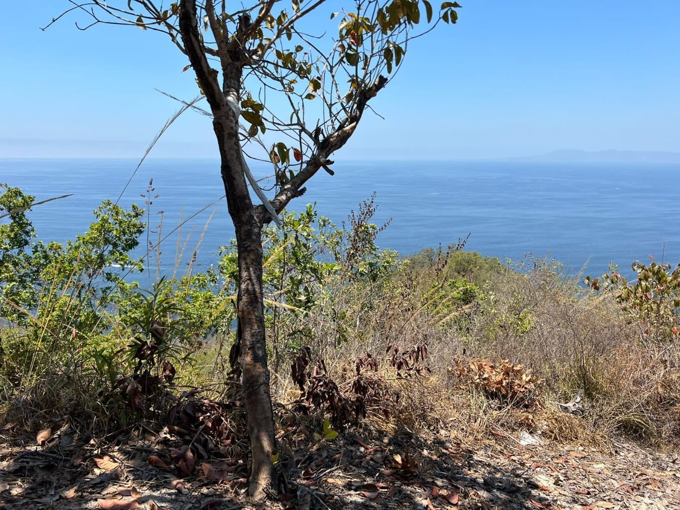 image-10
