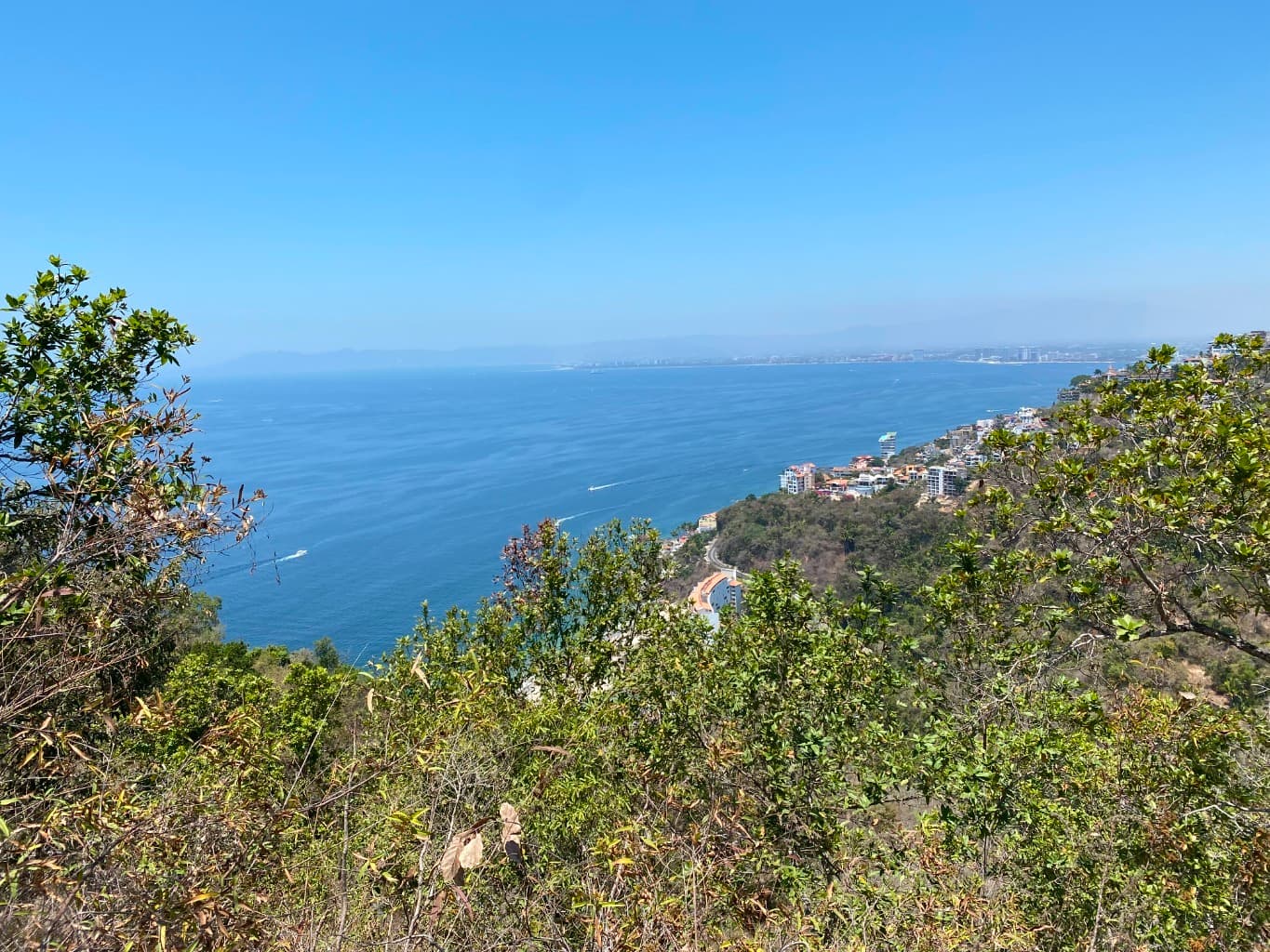 image-4