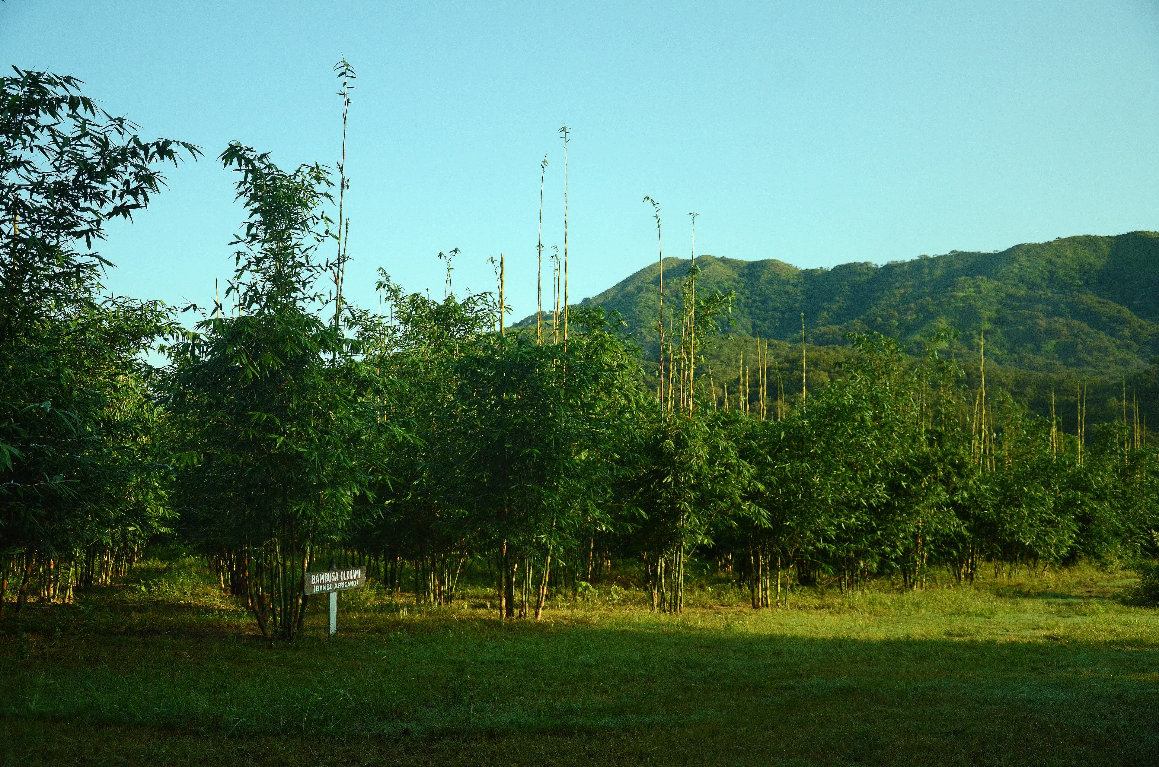 image-24