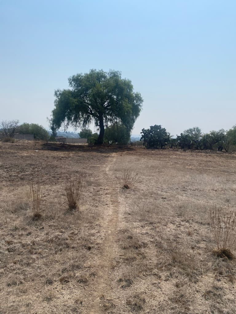 image-20