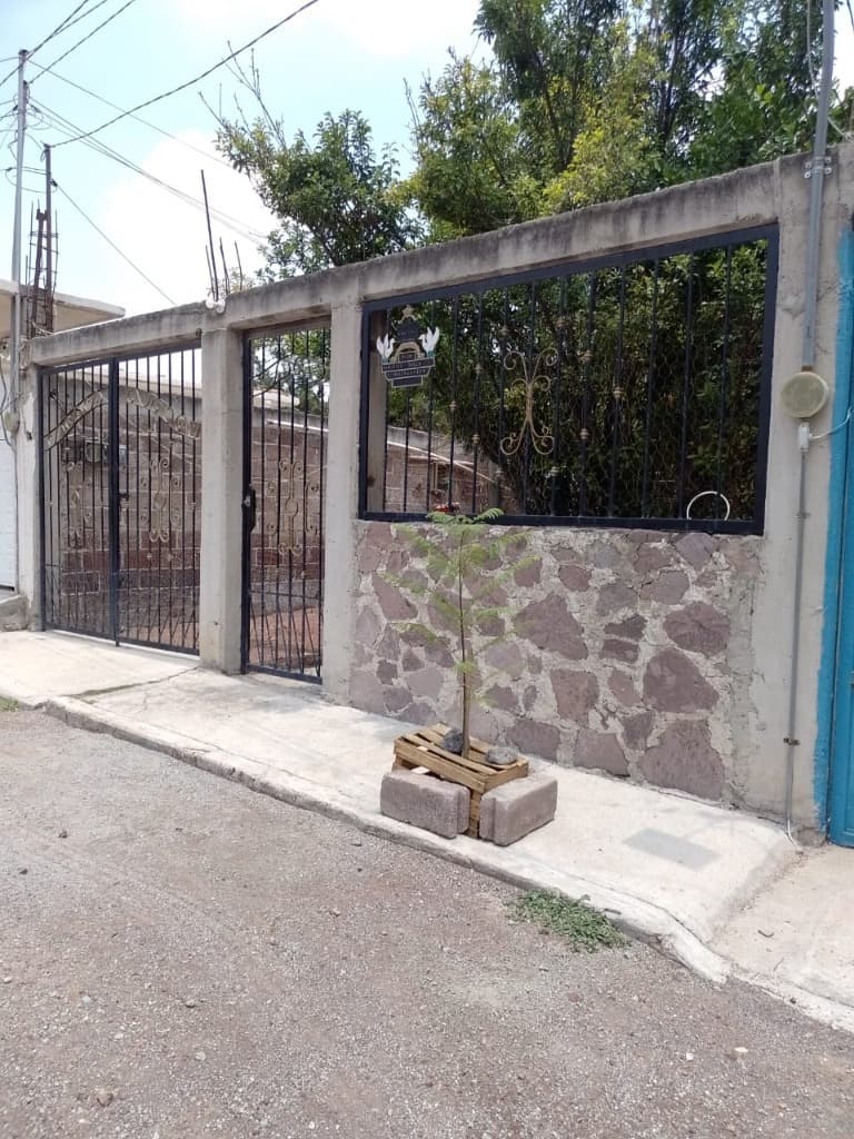 image-0