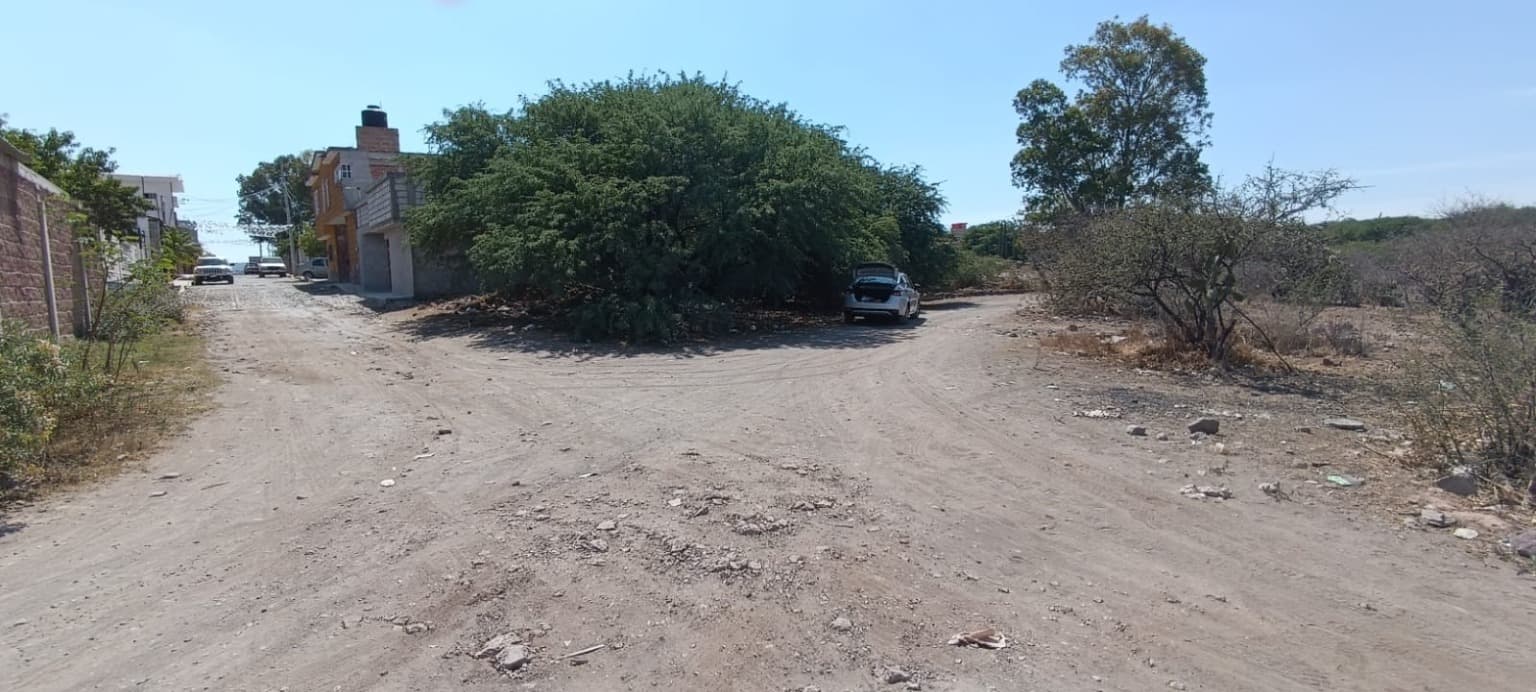 image-3