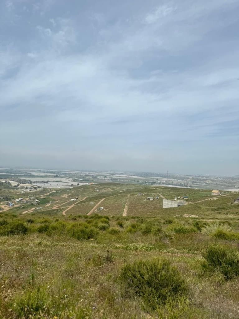 image-0