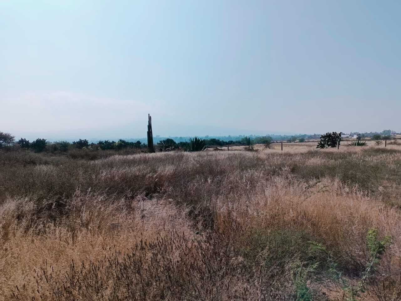 image-17