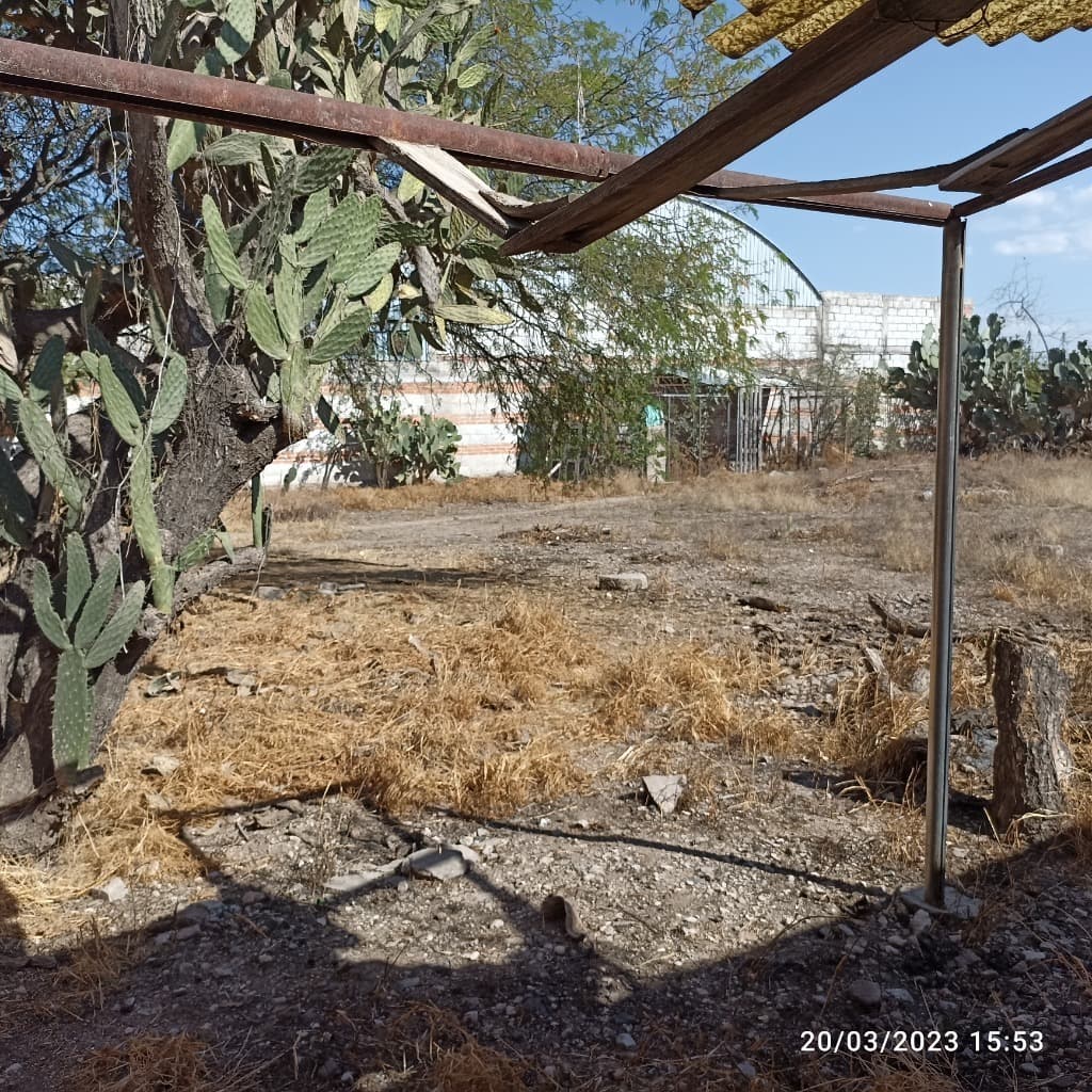 image-14