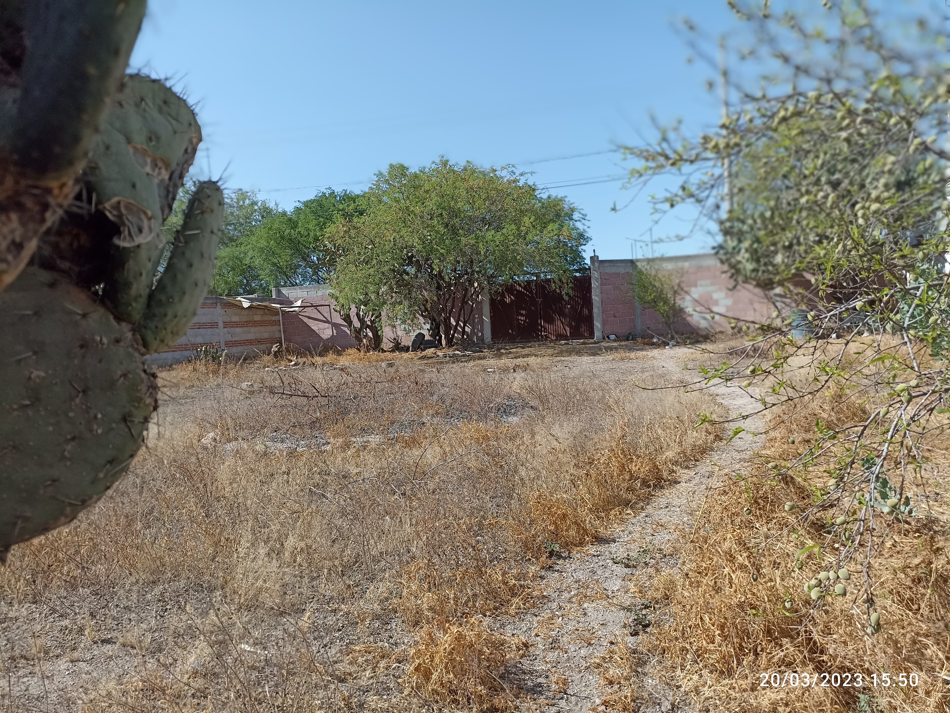 image-19