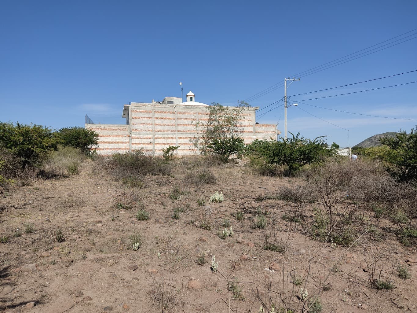 image-0