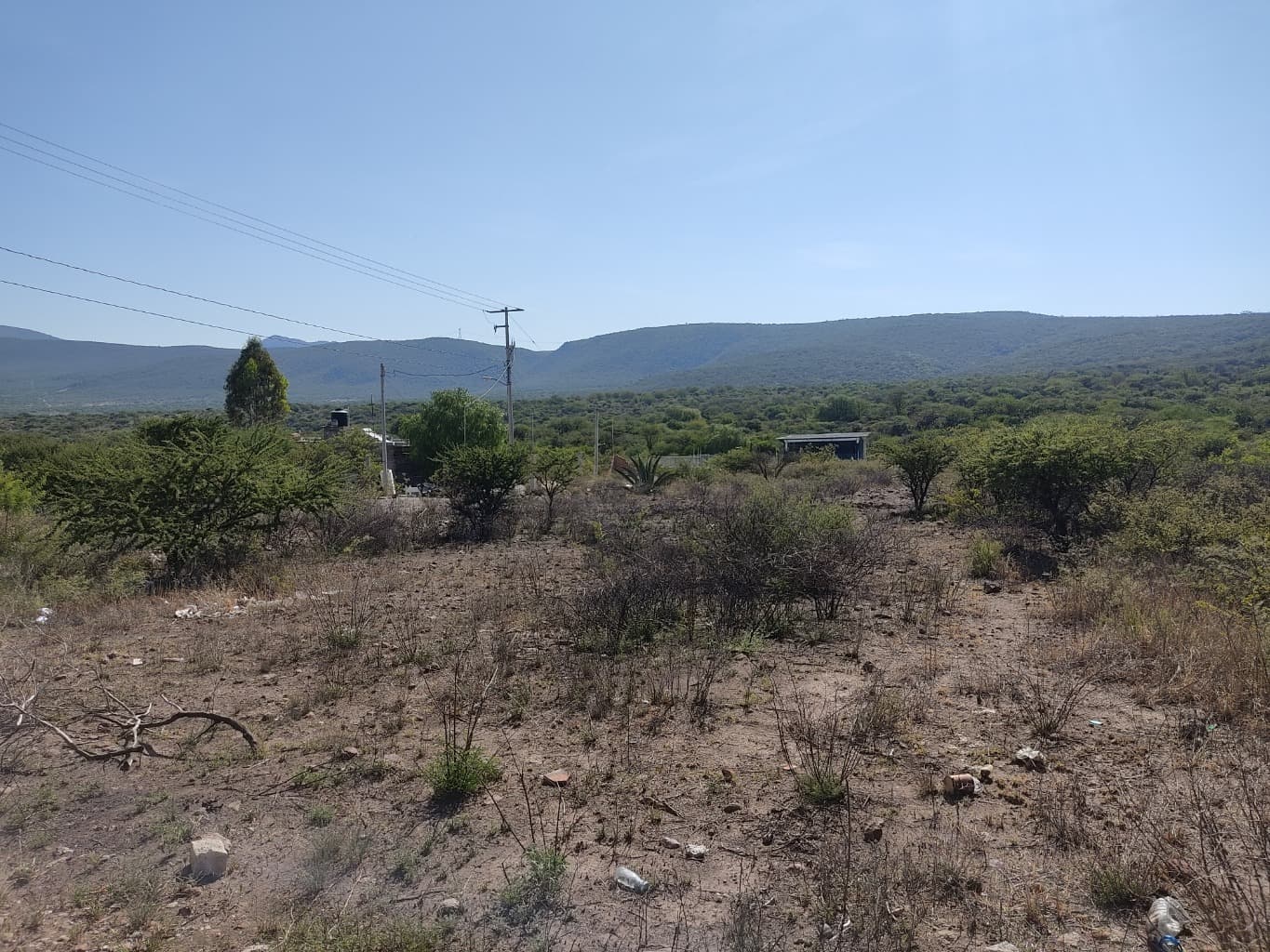 image-5