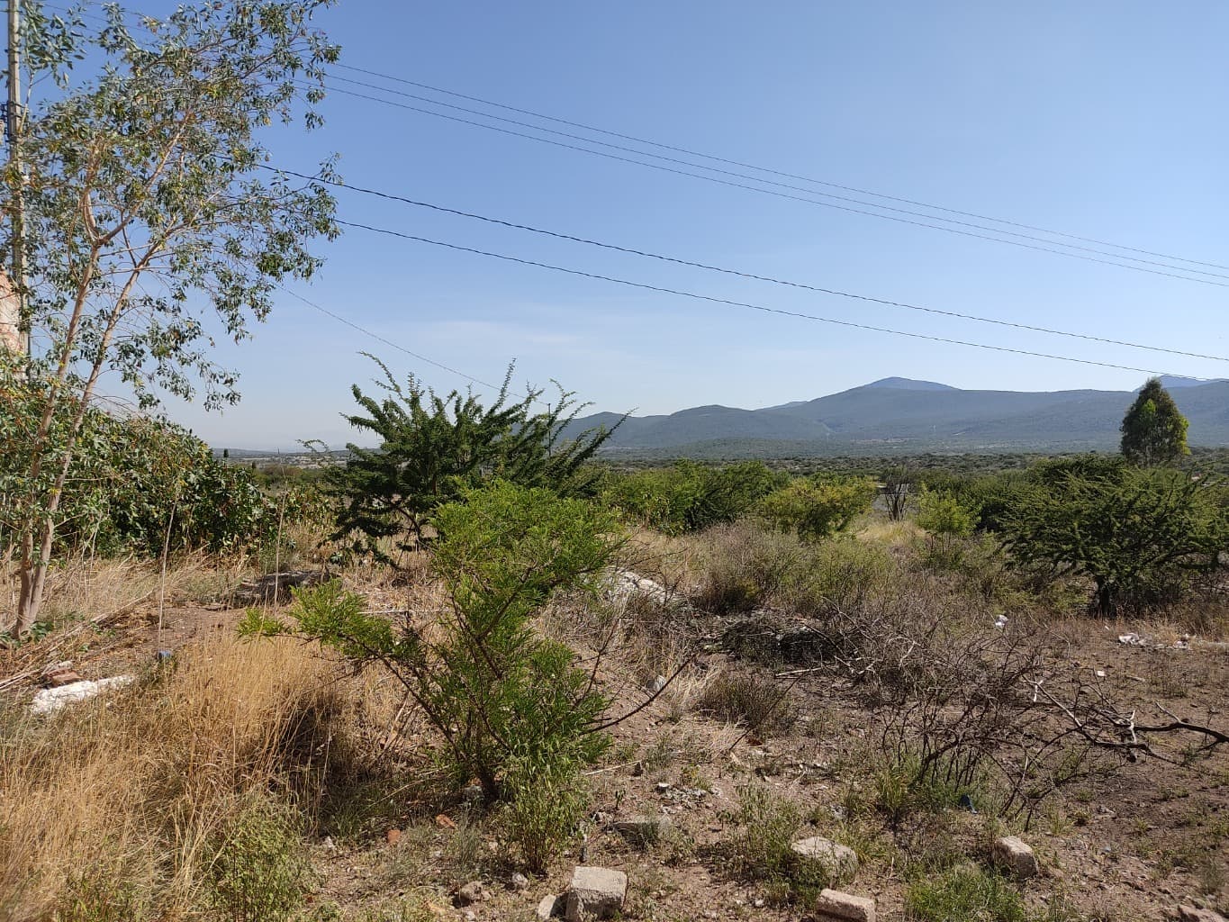 image-6
