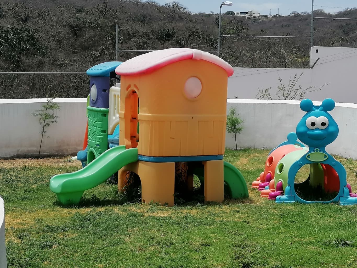 image-6