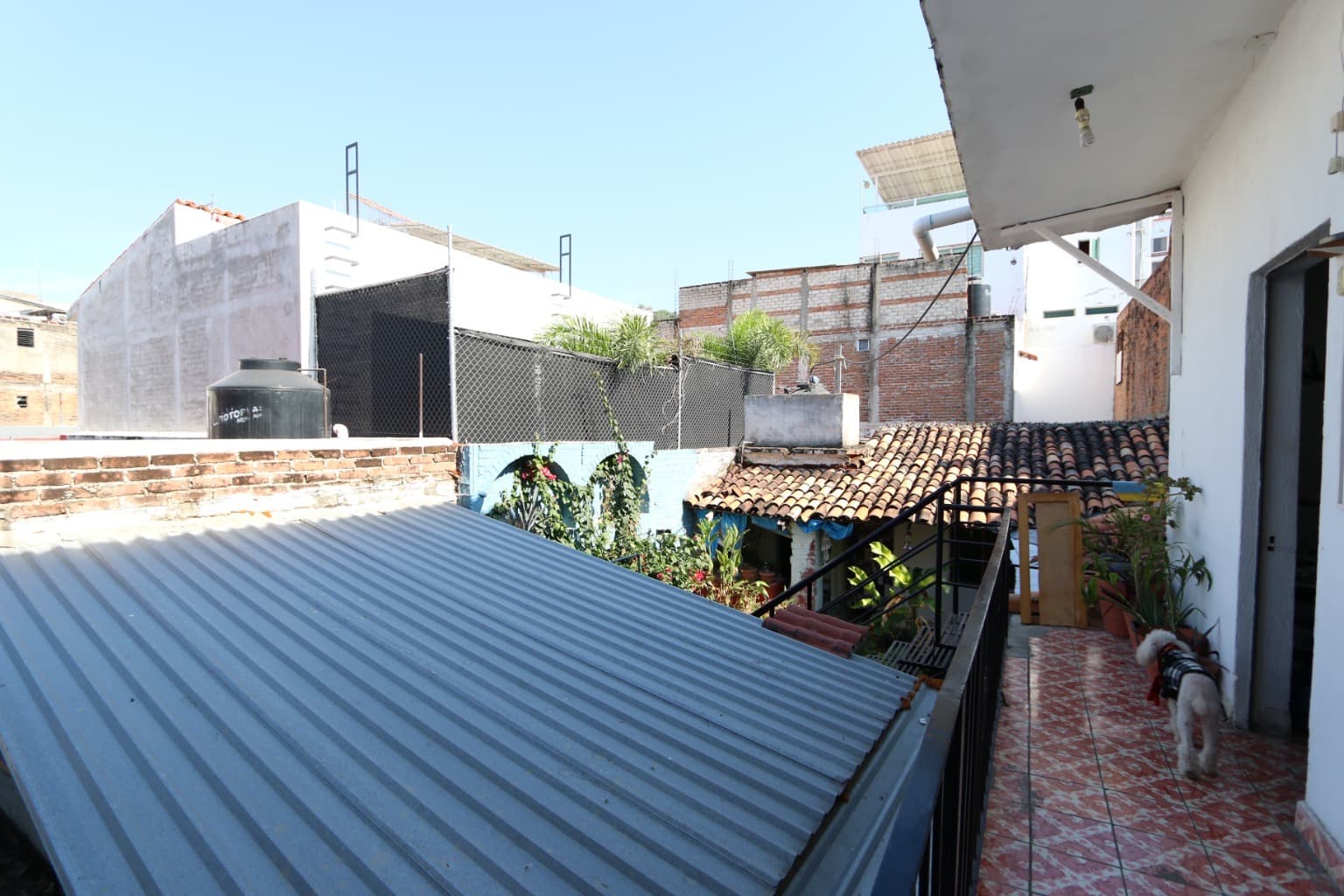 image-20