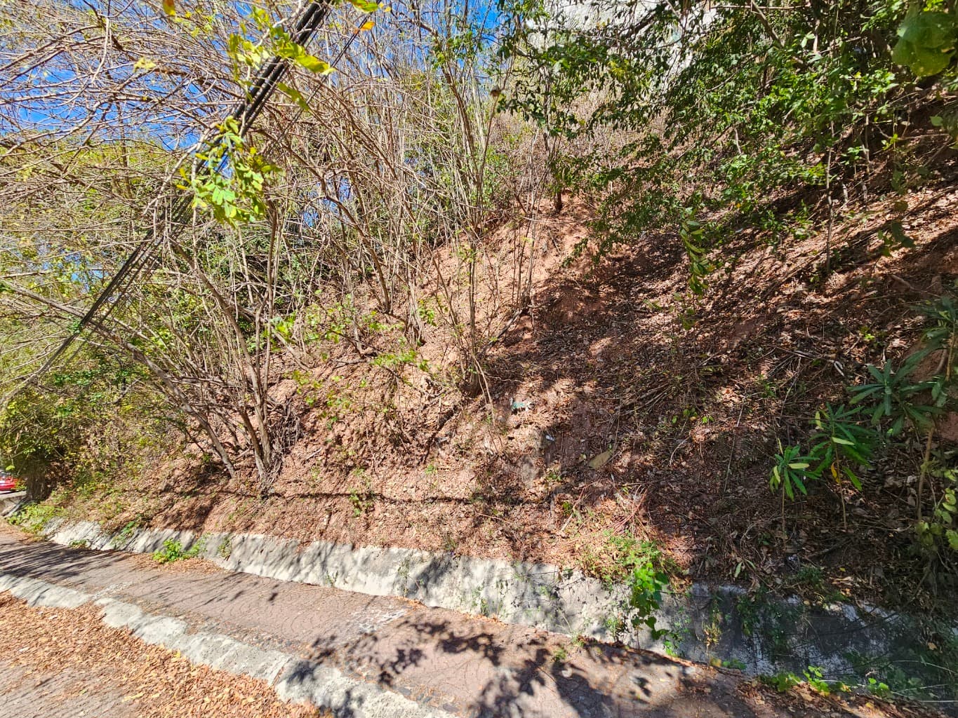 image-6